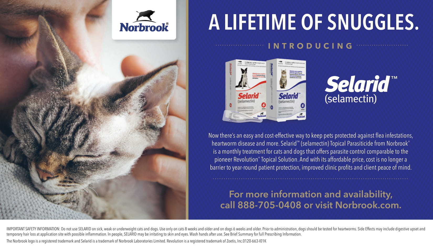 dog and cat clinic cr park