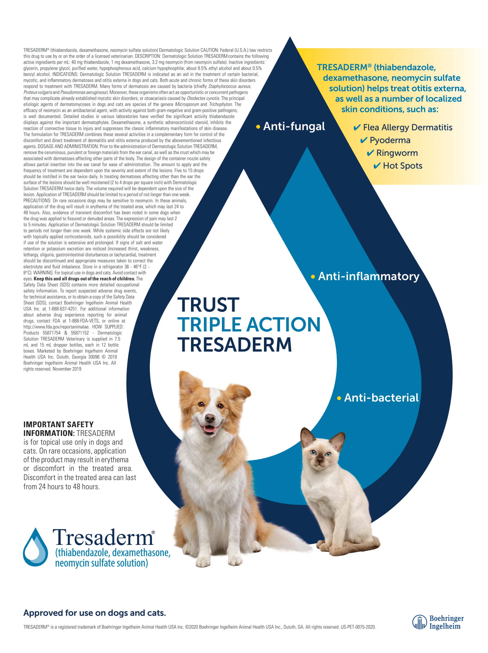 Clinician S Brief Canadian Edition June 2020 Digital Edition