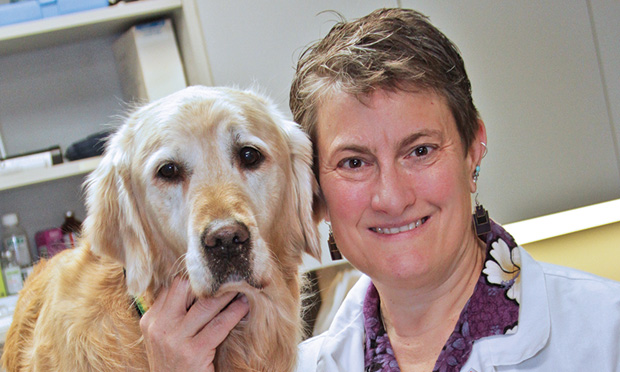 the human animal bond our mutual health wellness clinicians brief human animal bond