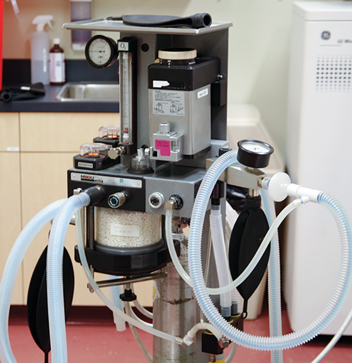 Isoflurane & Sevoflurane Application & Protocols Clinician's Brief