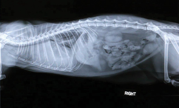 Top 5 Clinical Situations That Can't Wait