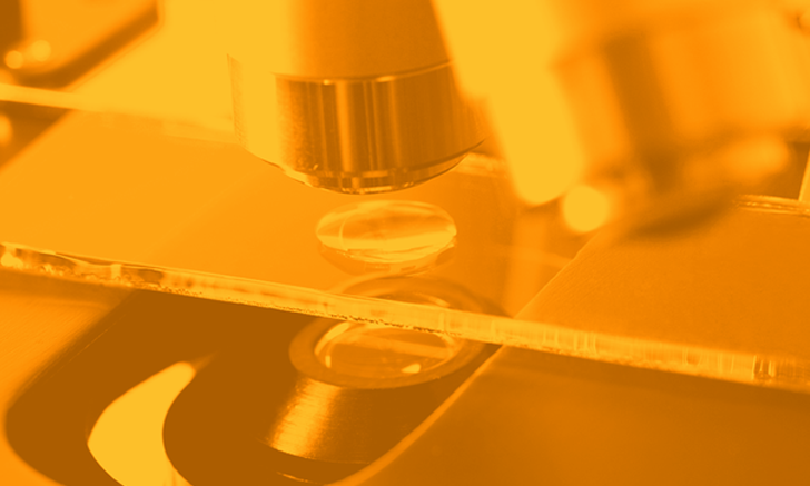 Trichuris vulpis | Clinician's Brief
