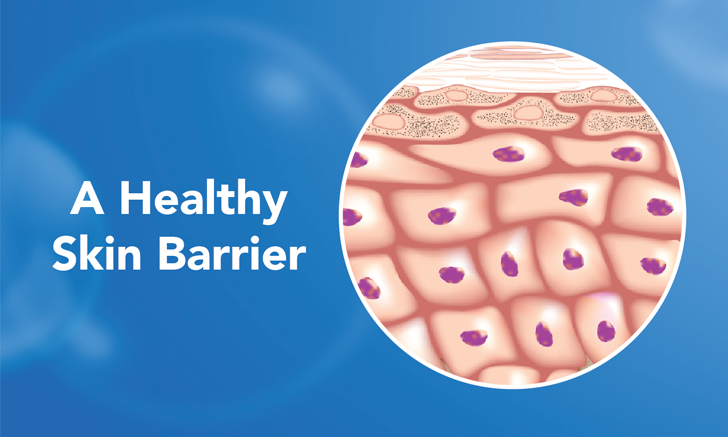 The Benefits of Phytosphingosine and Restoring the Skin Barrier