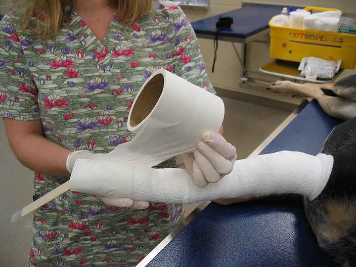 Effective Casting Techniques Clinician's Brief