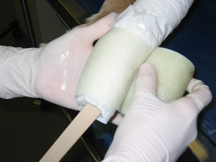 Effective Casting Techniques Clinician's Brief