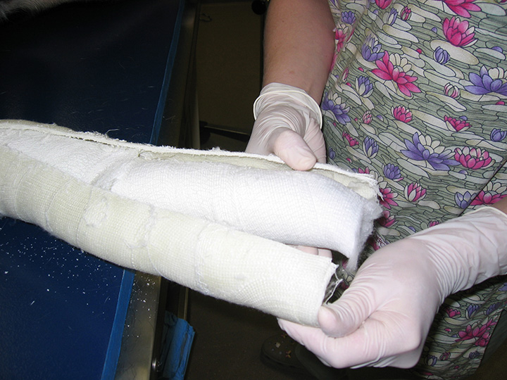 Effective Casting Techniques Clinician's Brief