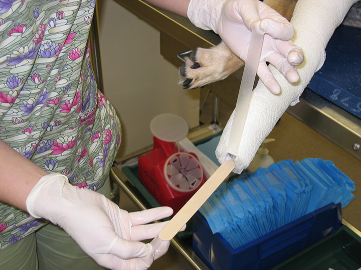 Effective Casting Techniques Clinician's Brief