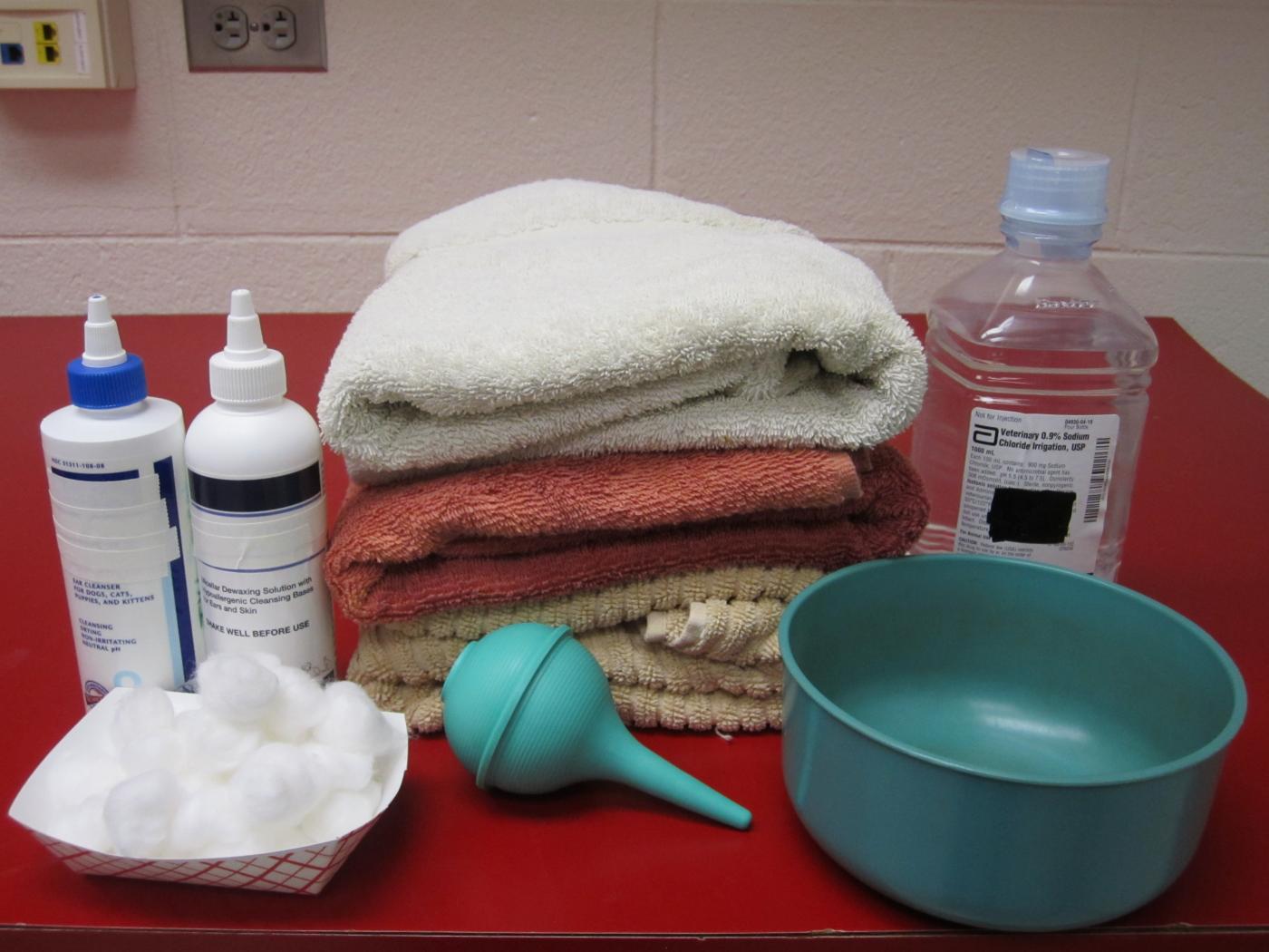 Image Gallery Ear Cleaning Clinician's Brief