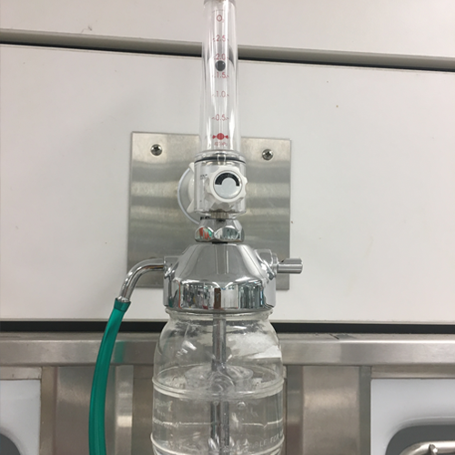 Placement of Nasal Oxygen Catheters Clinician's Brief