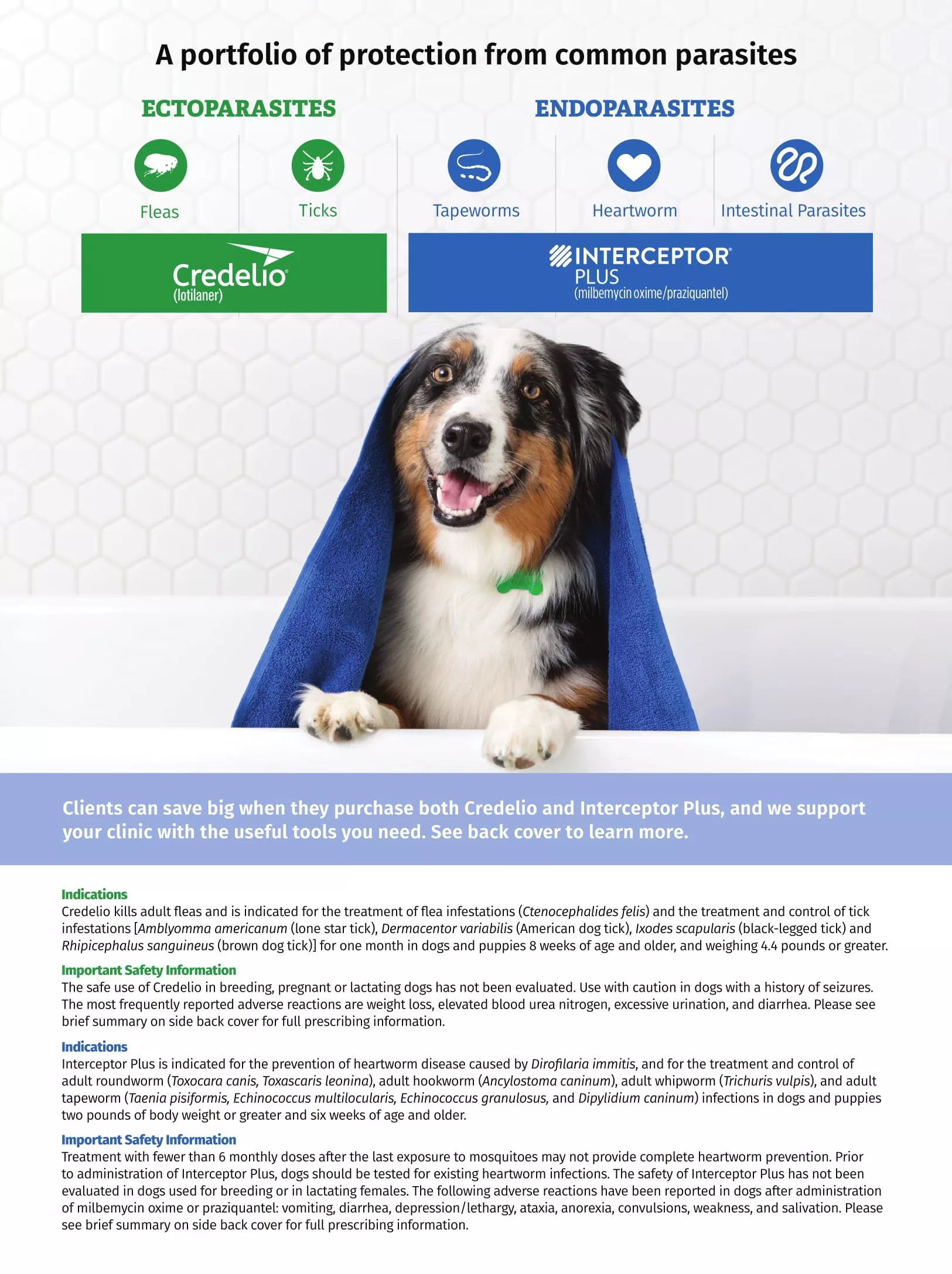 Clinician's Brief Canadian Edition August 2019 | Clinician's Brief