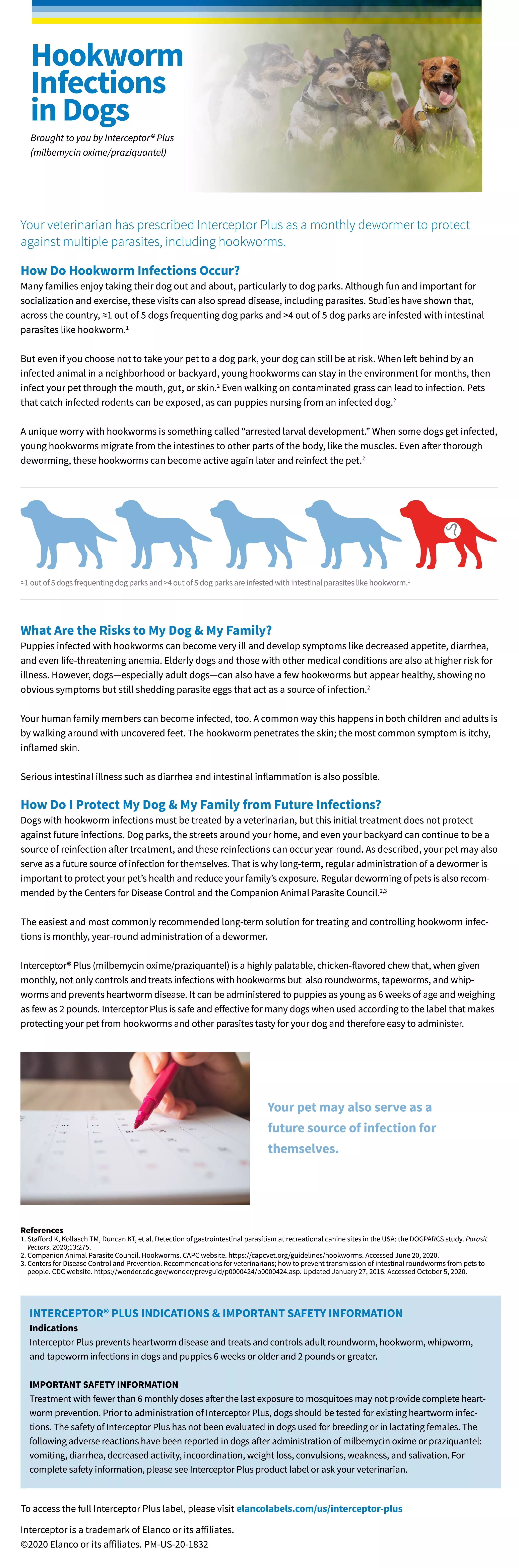 Handout Hookworm Infections in Dogs Clinician's Brief