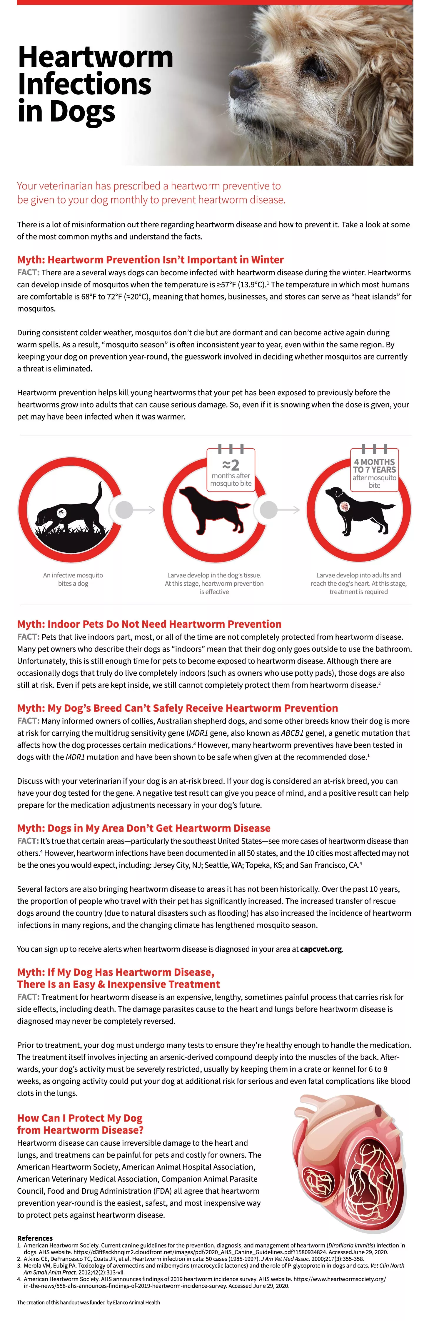 Handout Heartworm Infections in Dogs Clinician's Brief